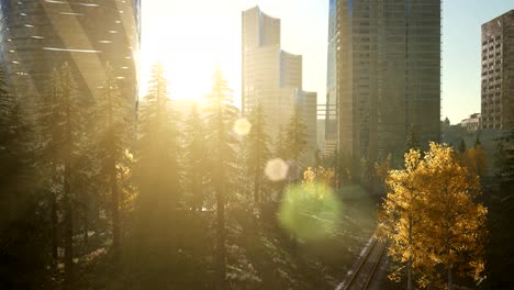 skyscrapes-and-the-forest-park-at-sunrise